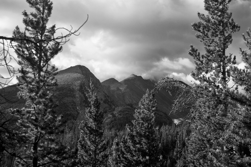 IMG_5351bw.jpg