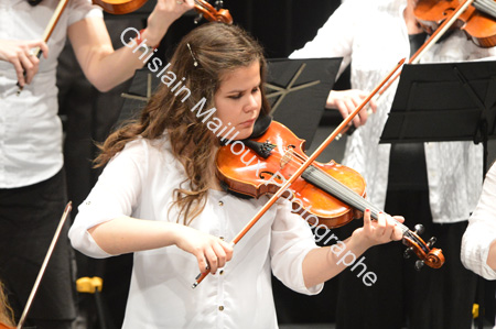DSC_6672.jpg