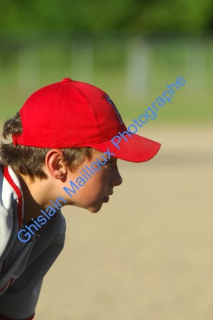 3772.jpg
