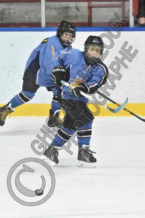 0271 copy.jpg