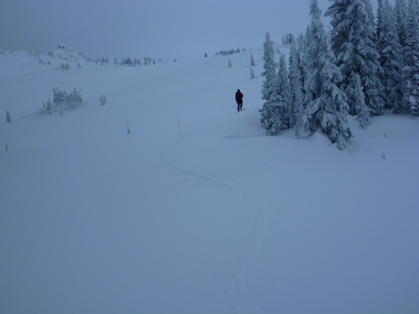P1130234.JPG