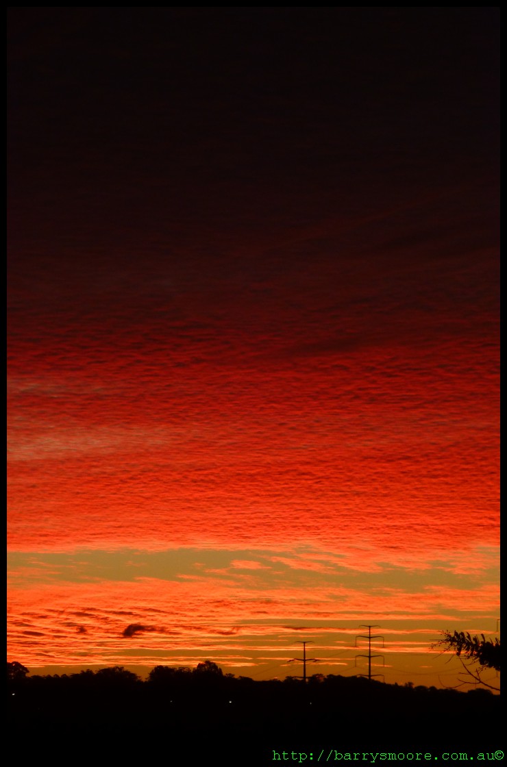Shades of Red and Black