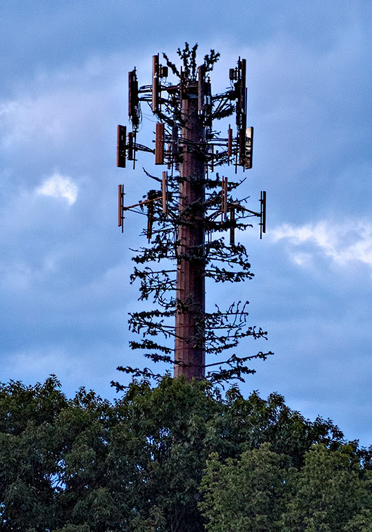 Cell Phone Tower in disguise.