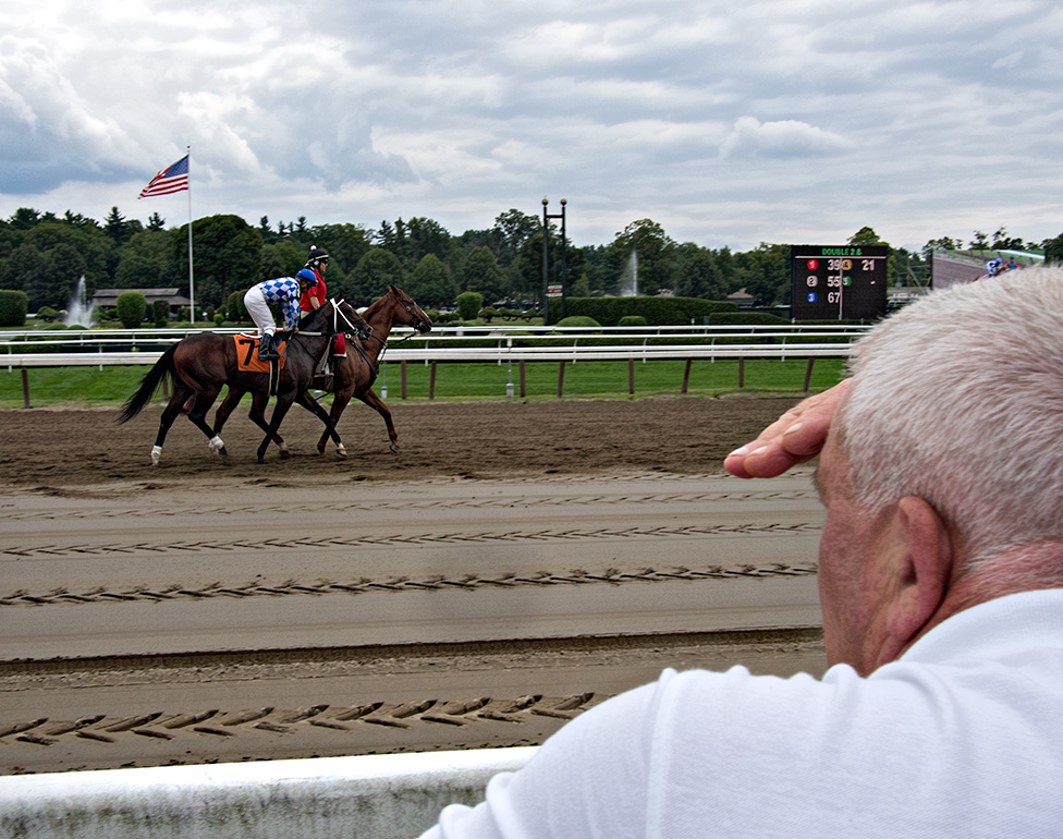 Evaluating the horses before the race.