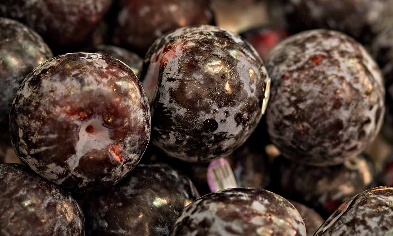 Tree Ripe Plums
