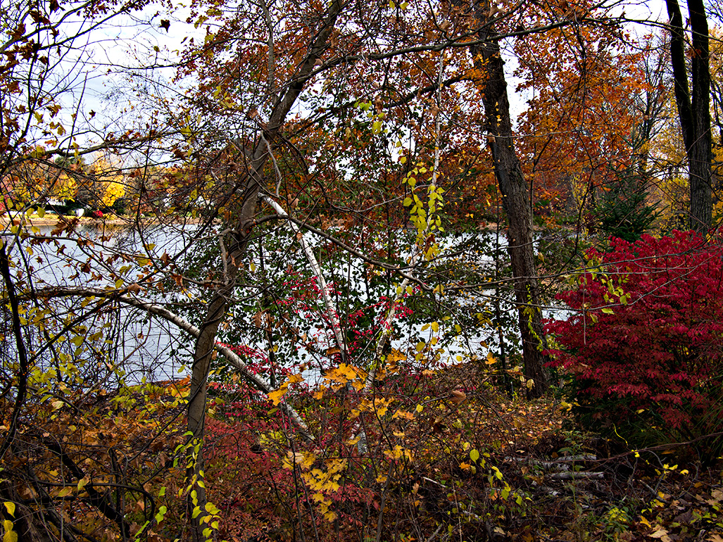wall of color.