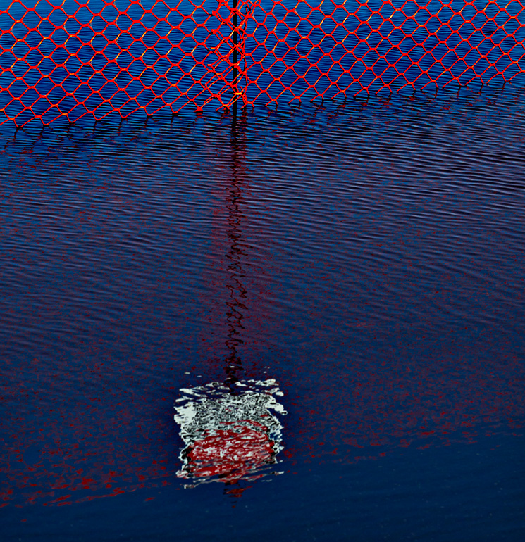Reflection in a (very large) puddle. 