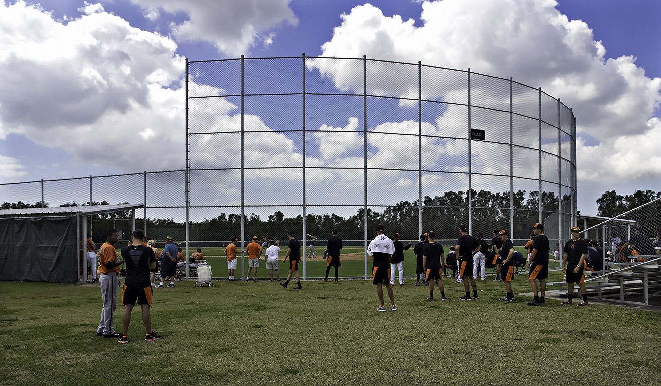Spring Training - Delmarva Shorebirds
