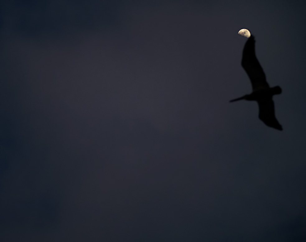 Touching the moon