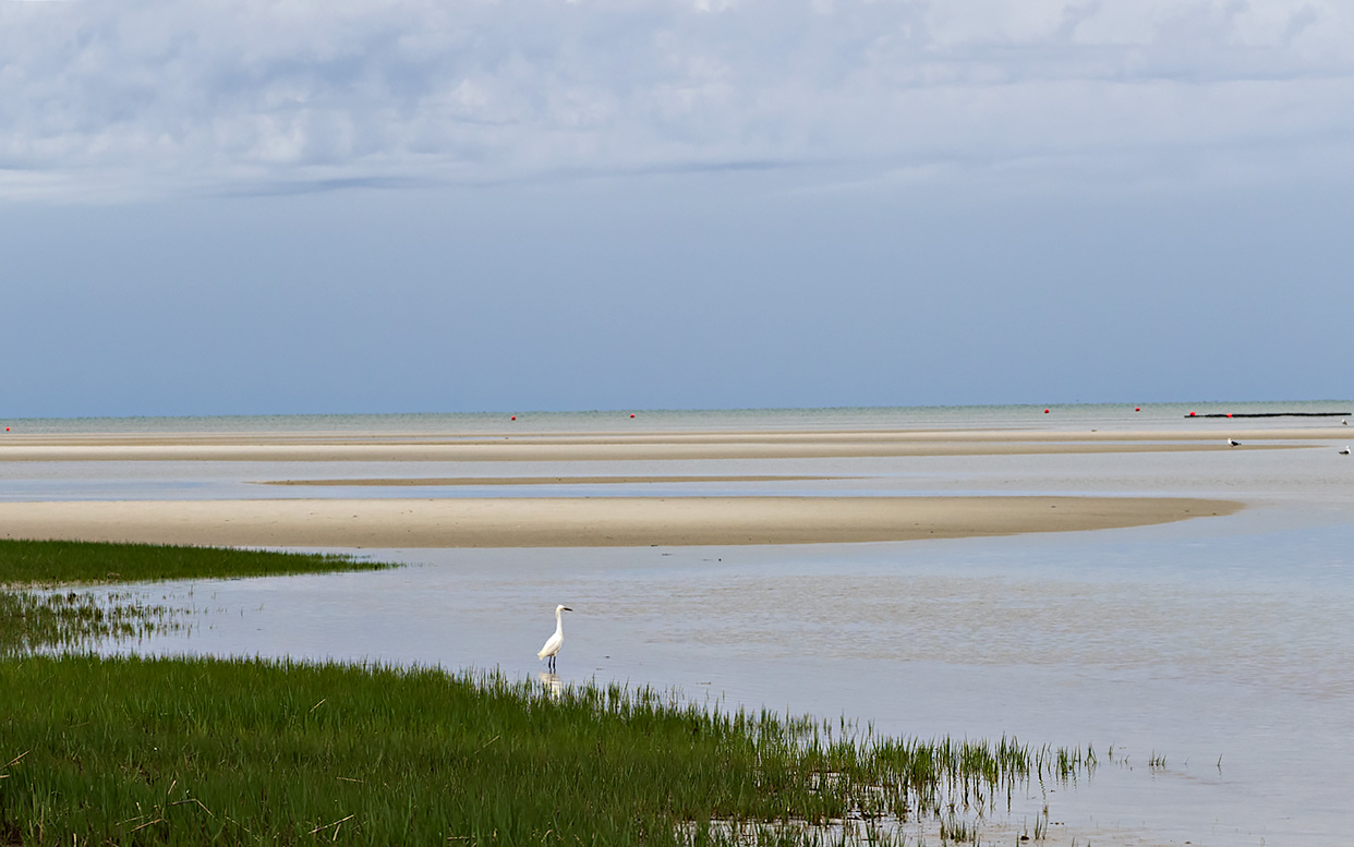 Rock Harbor - Cape Cod