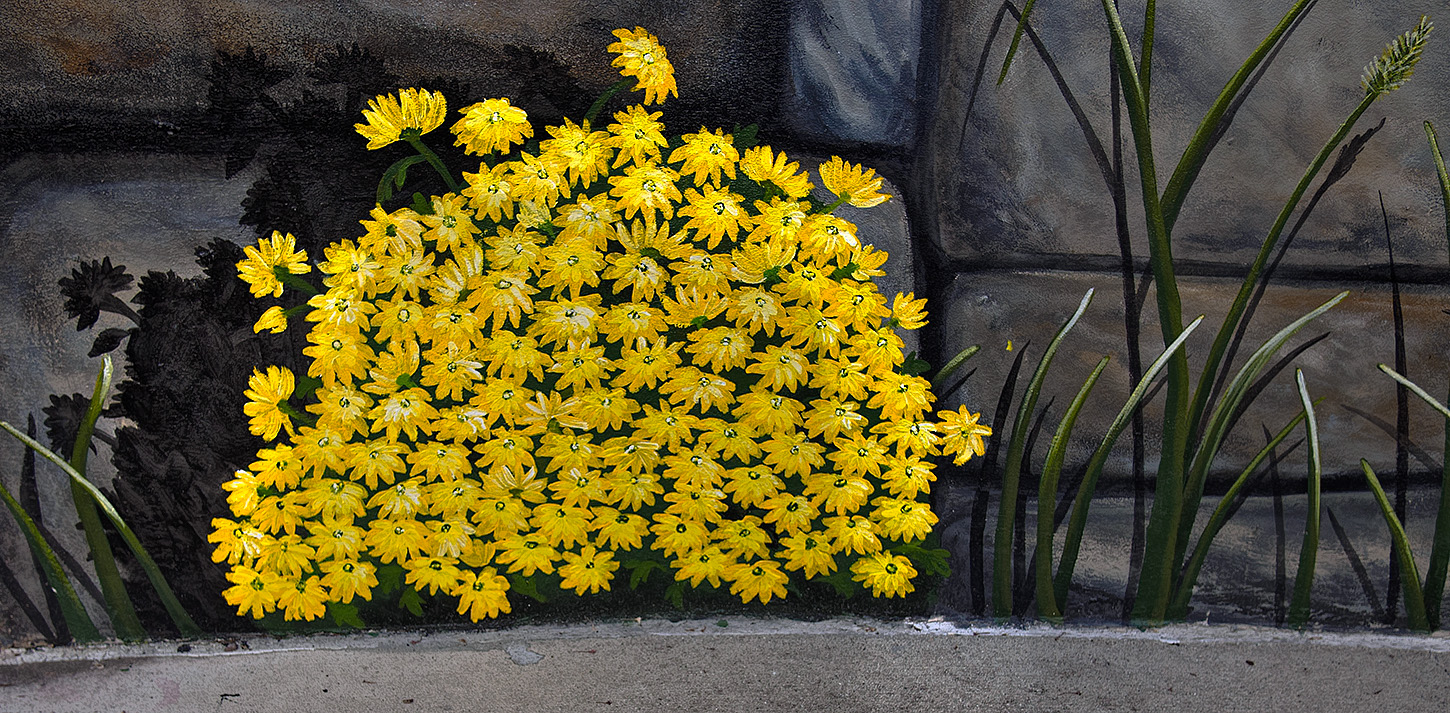 Everlasting Spring in the Secret Garden (#11 of X)