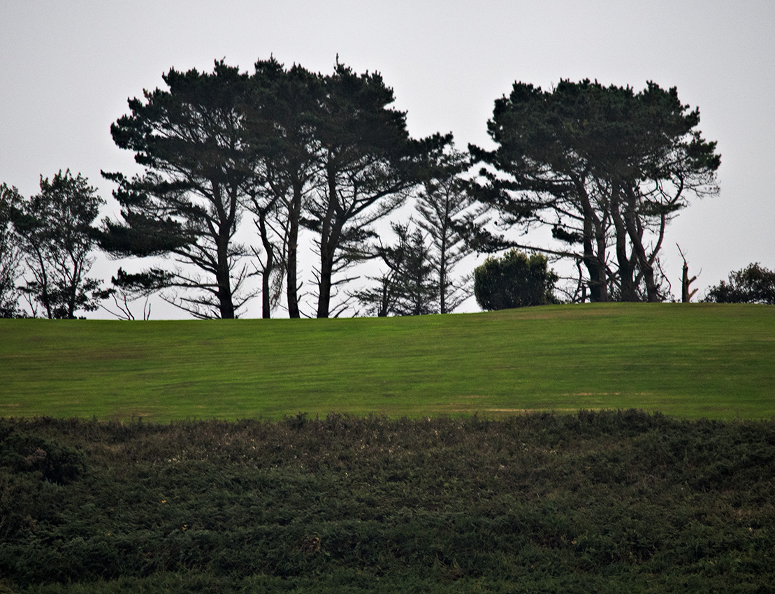 A gray day.