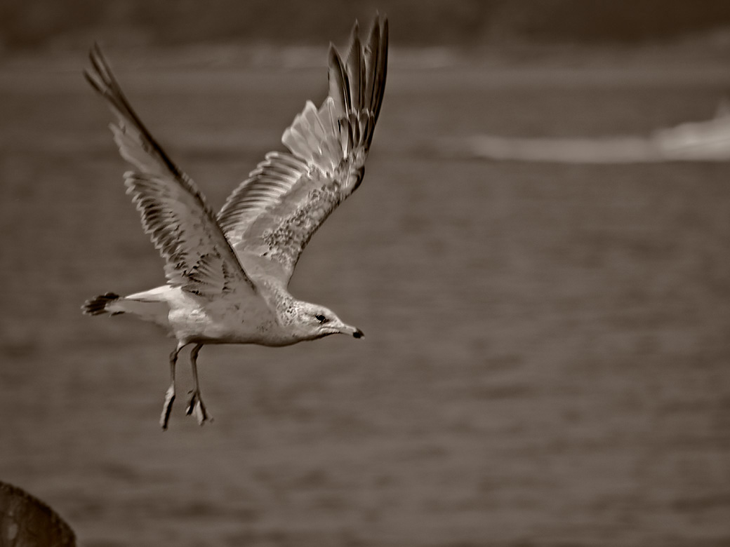 Take-off