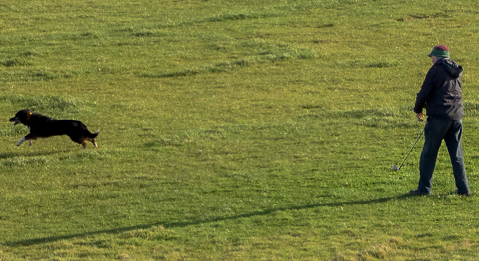 fetch