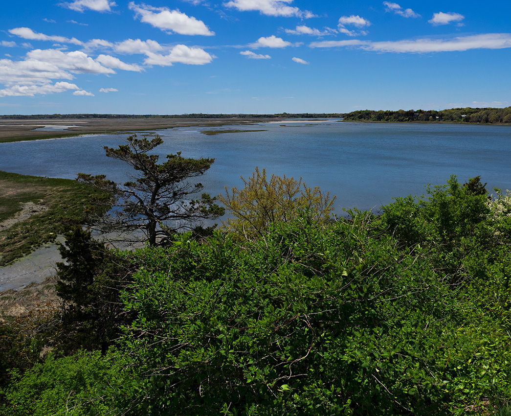 Coast Guard Beach - Cape Cod National Seashore