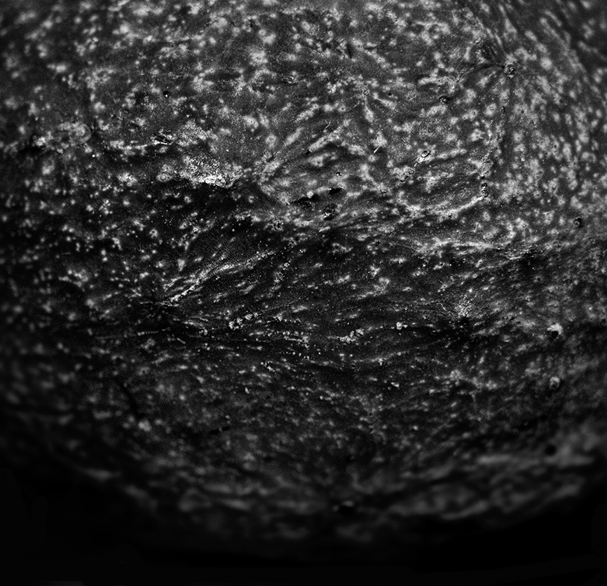 First Landing - Asteroid