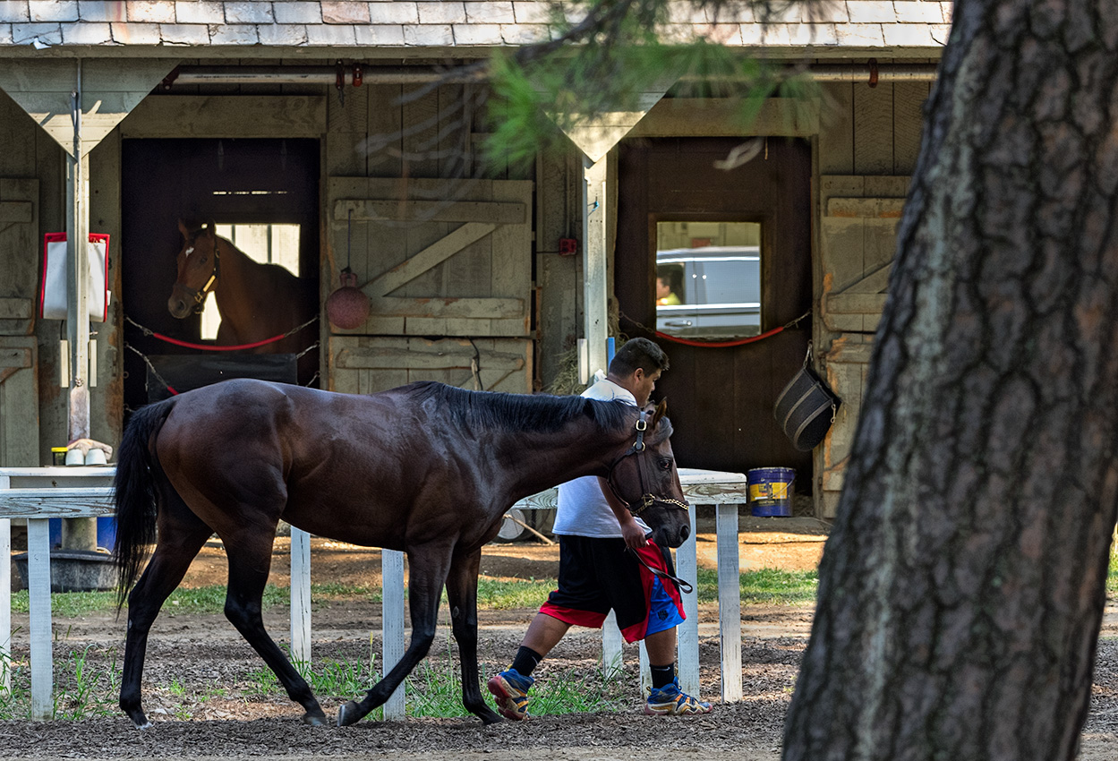 Morning at the stables (10:00 AM)