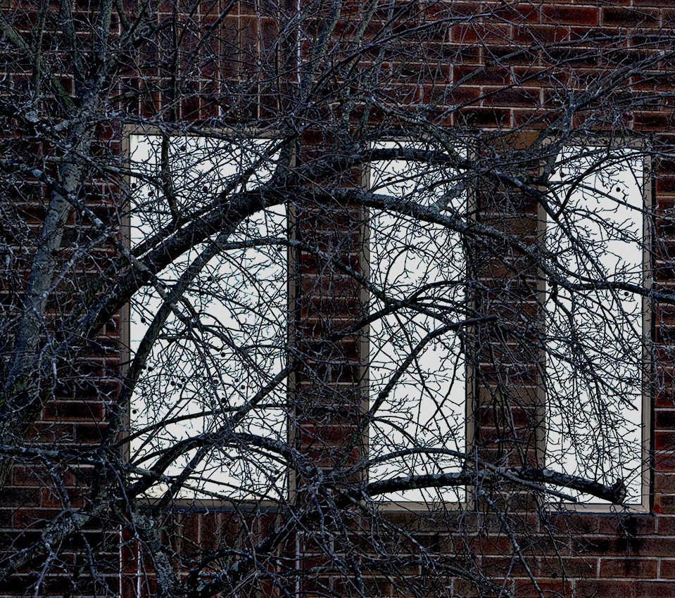 Tree - reflecting  on itself