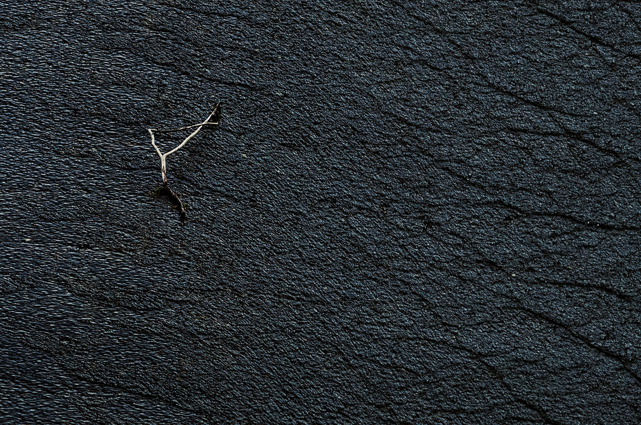 Twig  on a sluice