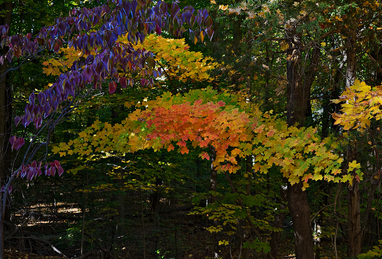 Autumn in Connecticut