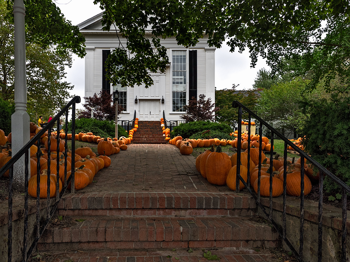 Pumpkin time
