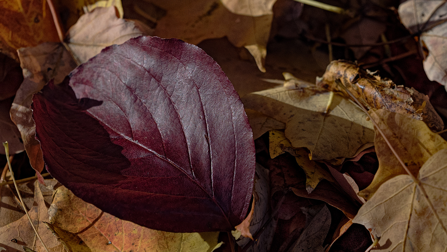 October in Connecticut