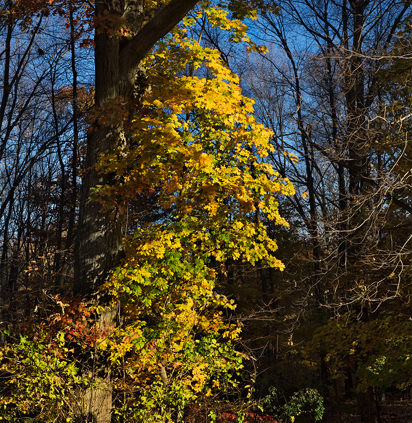 Autumn in Connecticut