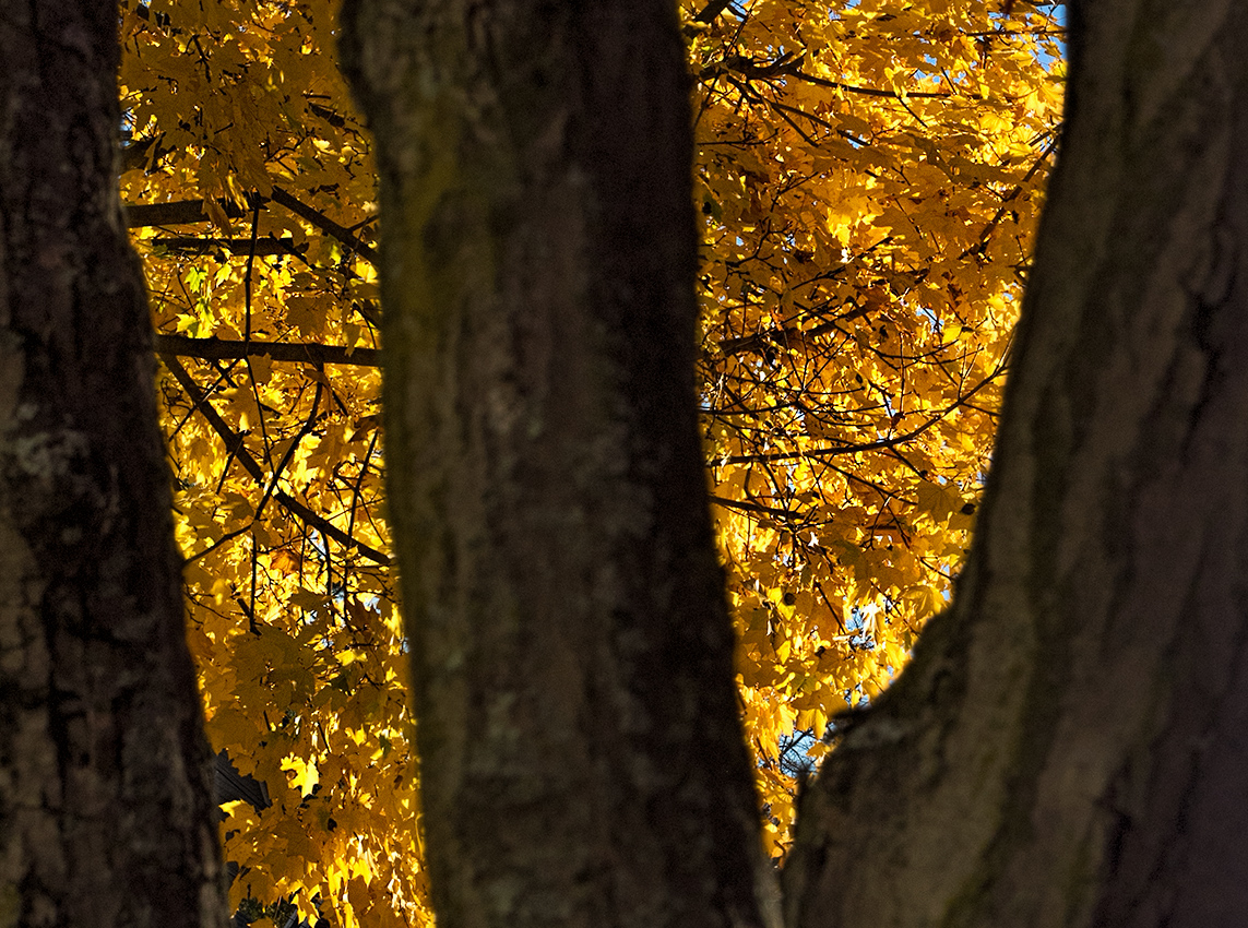 Autumn in Connecticut
