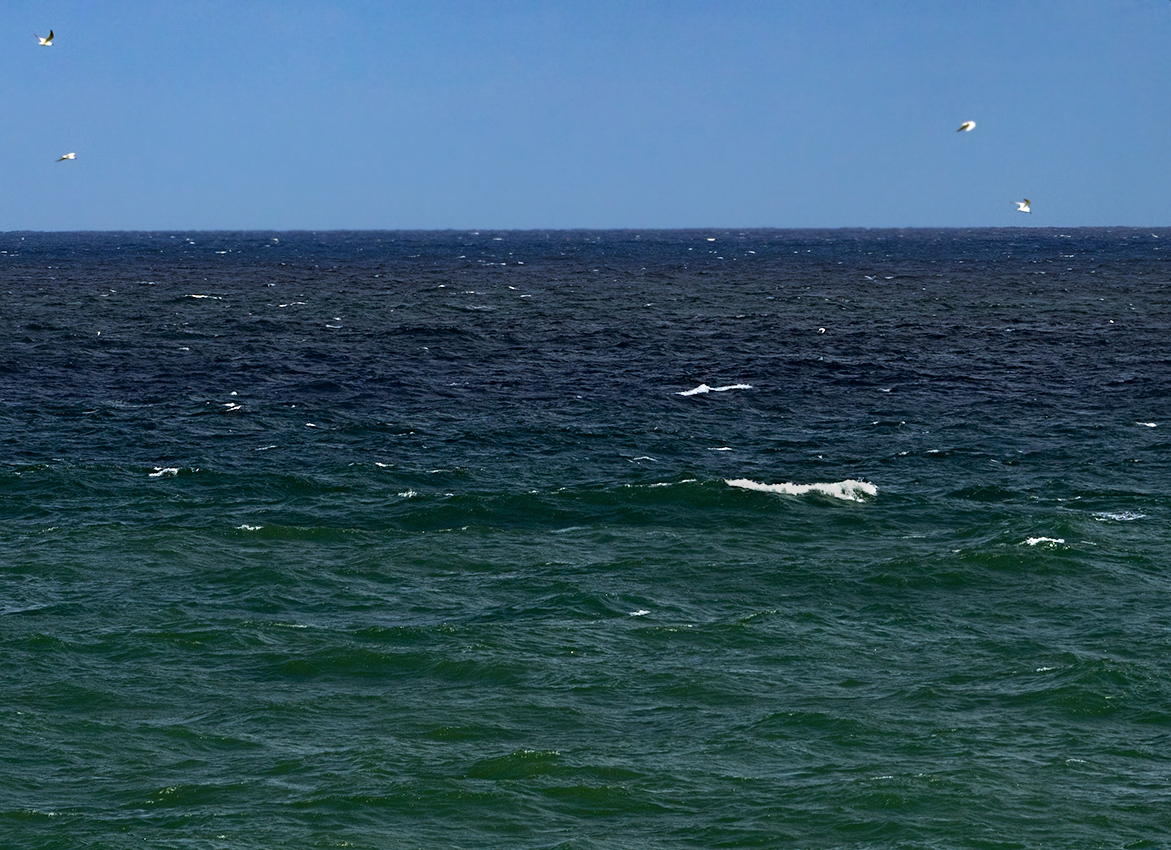 Sky, Sea & Seagulls