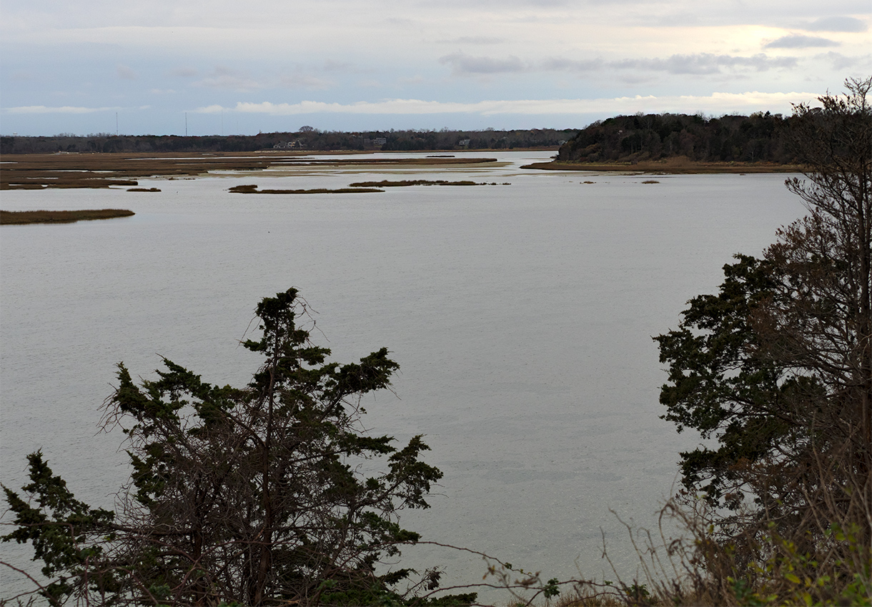 Coast Guard Beach