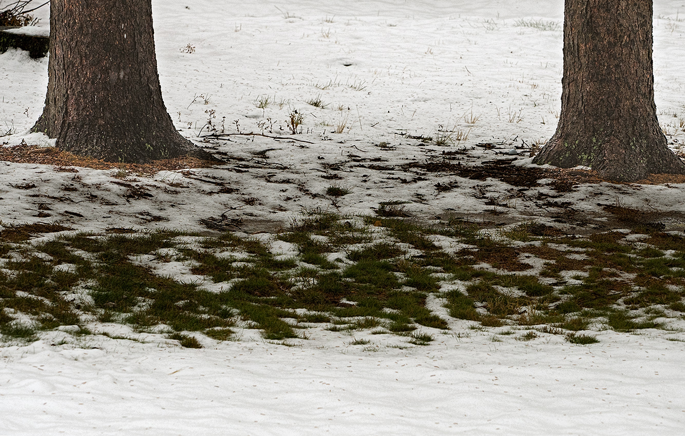 Yesterdays snow