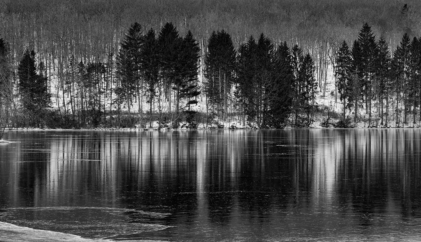 Winter reflections on ice - Color version below