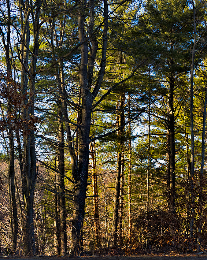 Winter at West Hartford Reservoir