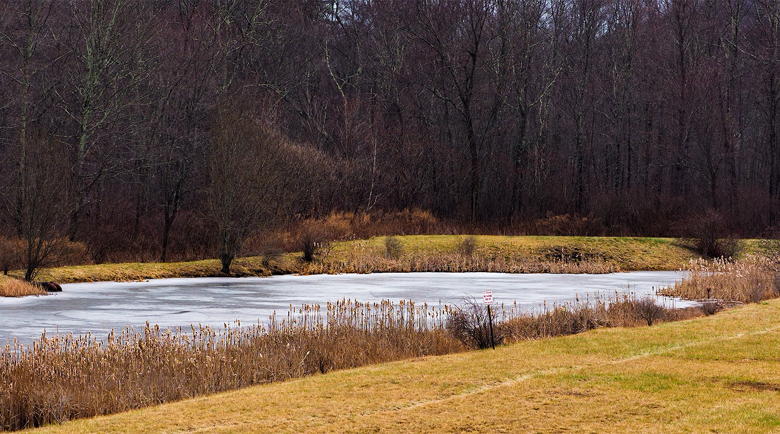 Connecticut in Winter