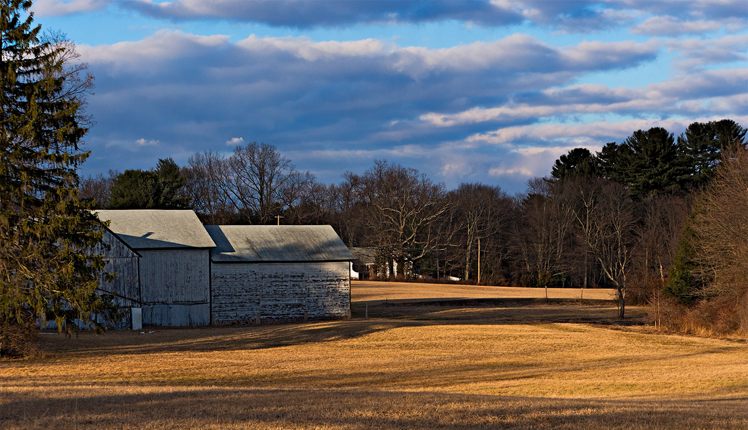 January in Connecticut