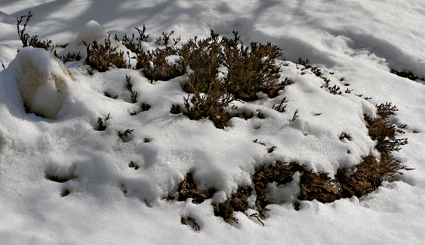 February in Connecticut