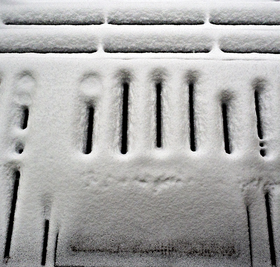 Winter textures, shapes and patterns - February in Connecticut