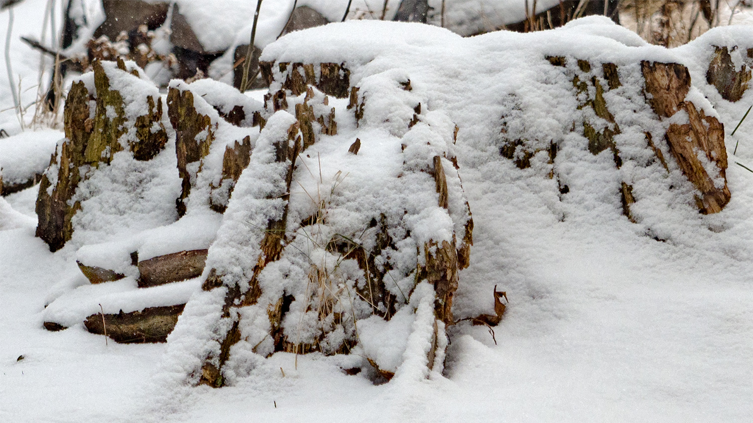 Winter in Connecticut