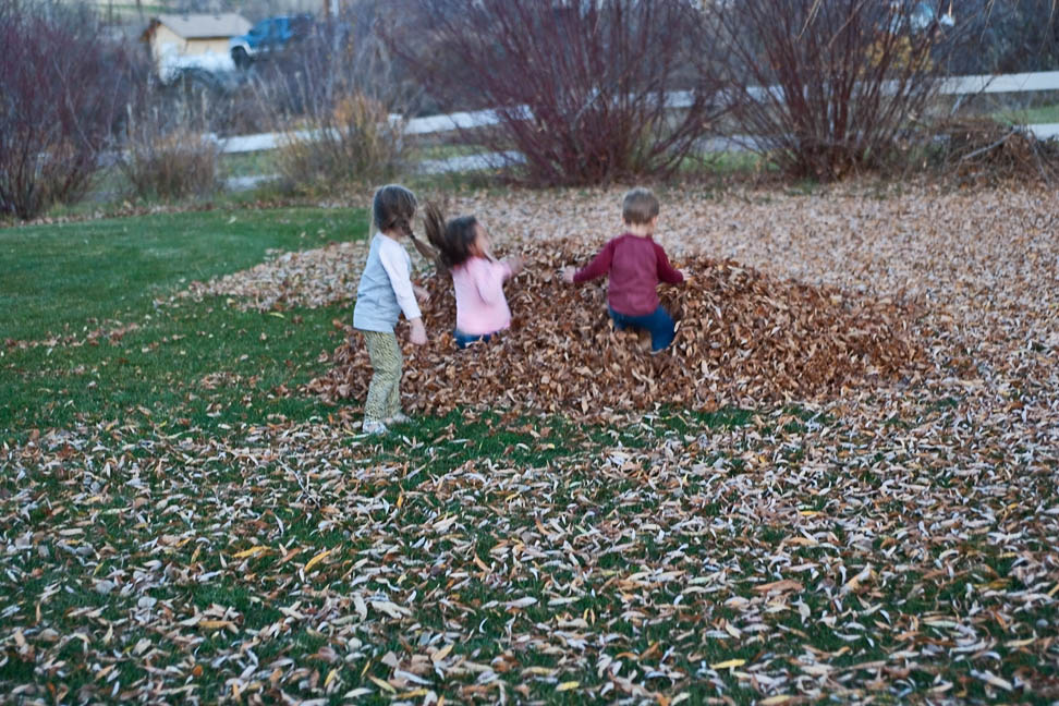 3119 kids in leaves.jpg