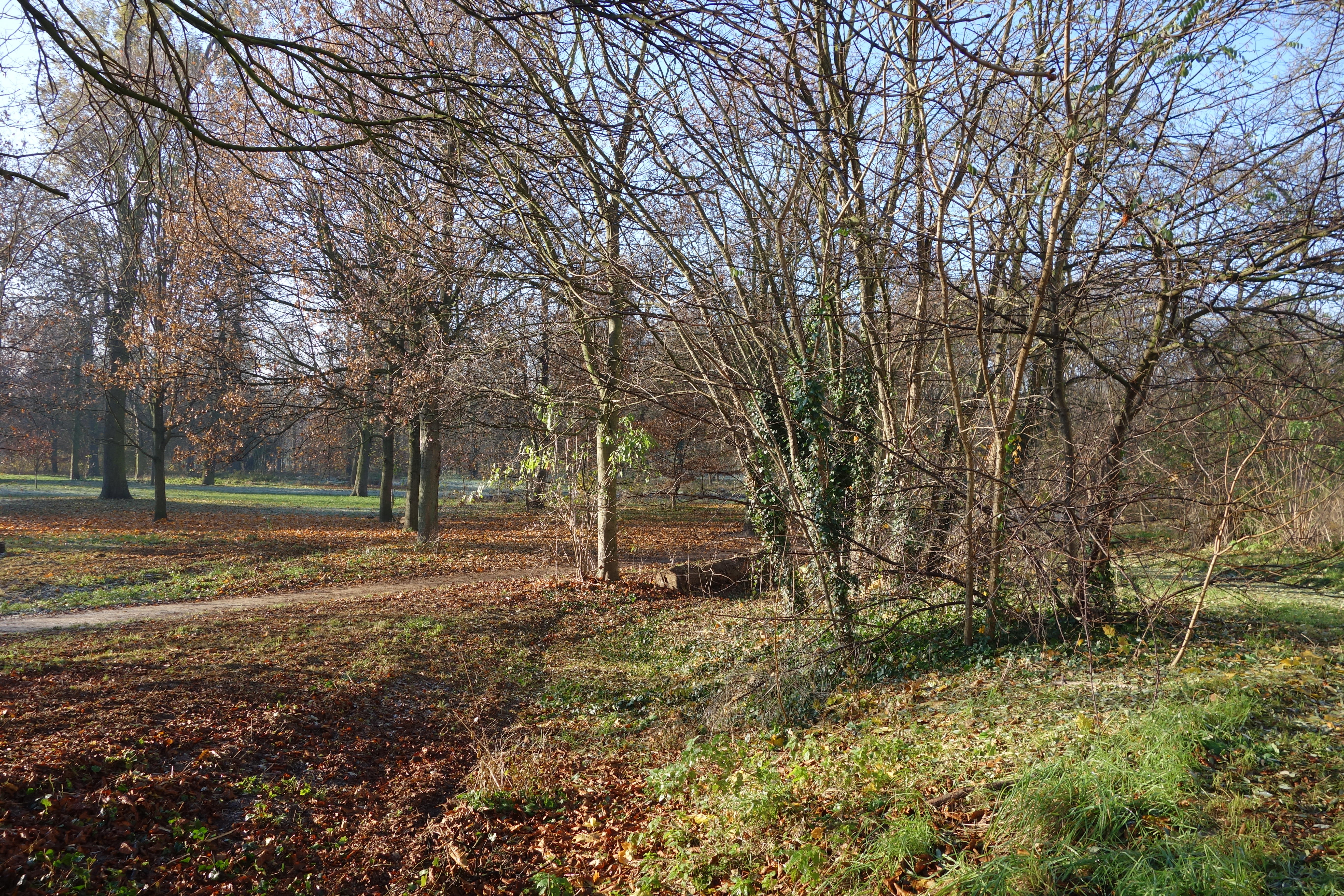 Bois de Vincennes