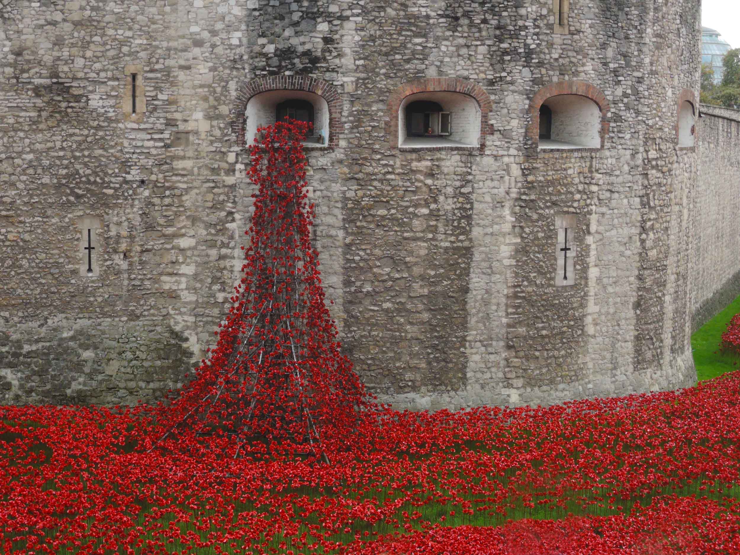 Poppies at The Tower of London