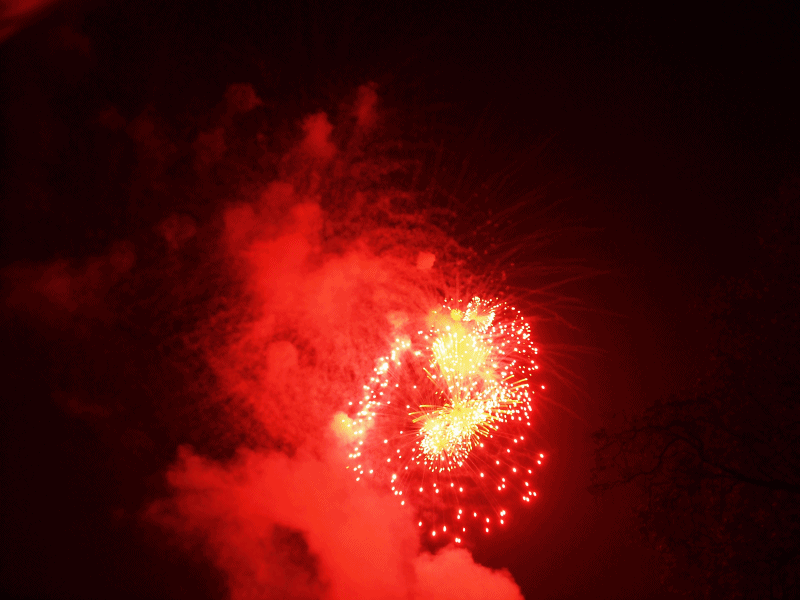 Fire that Works 2.gif