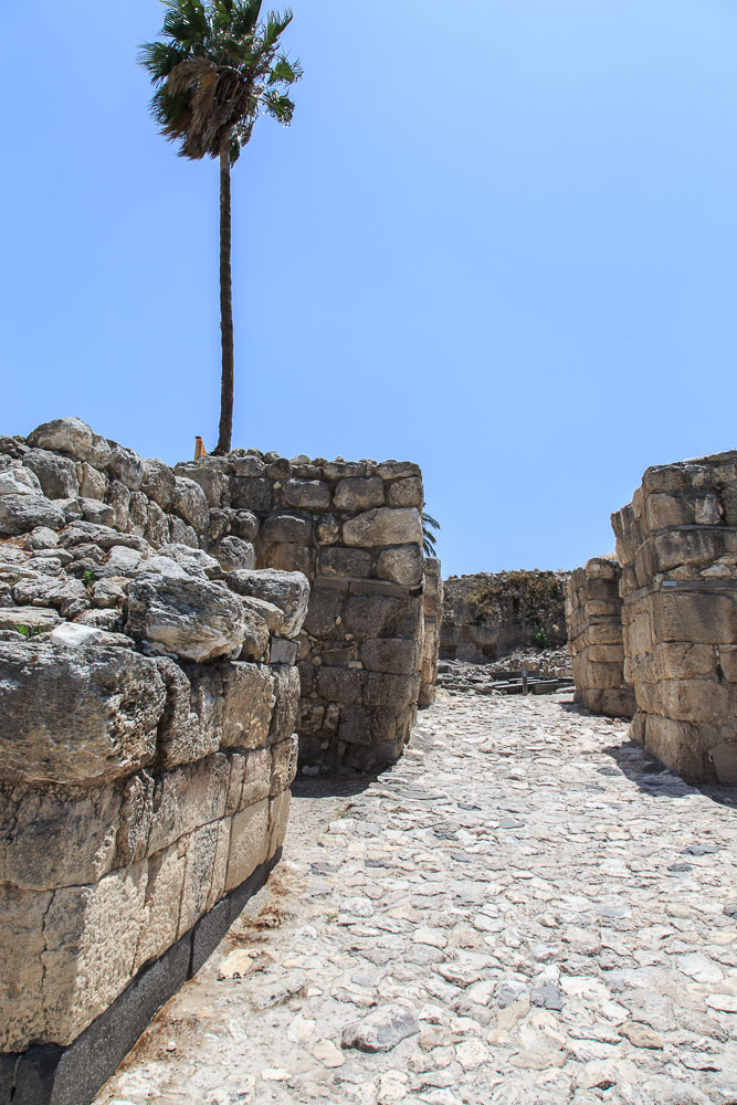 Megiddo National Park
