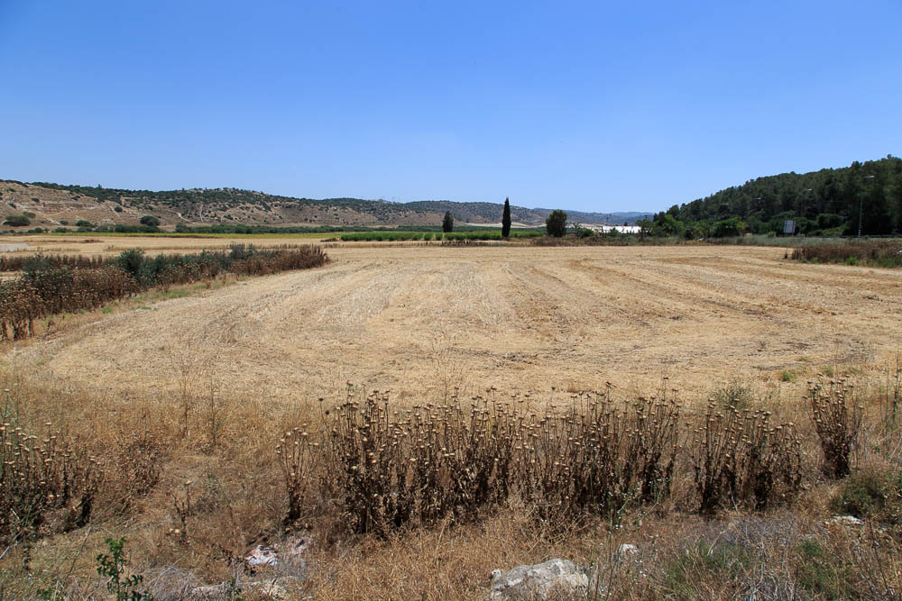 Where David fought Goliath