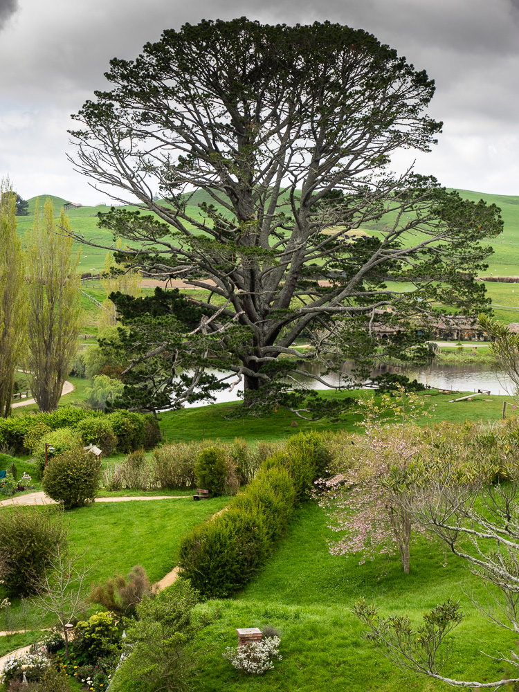 The Party Tree