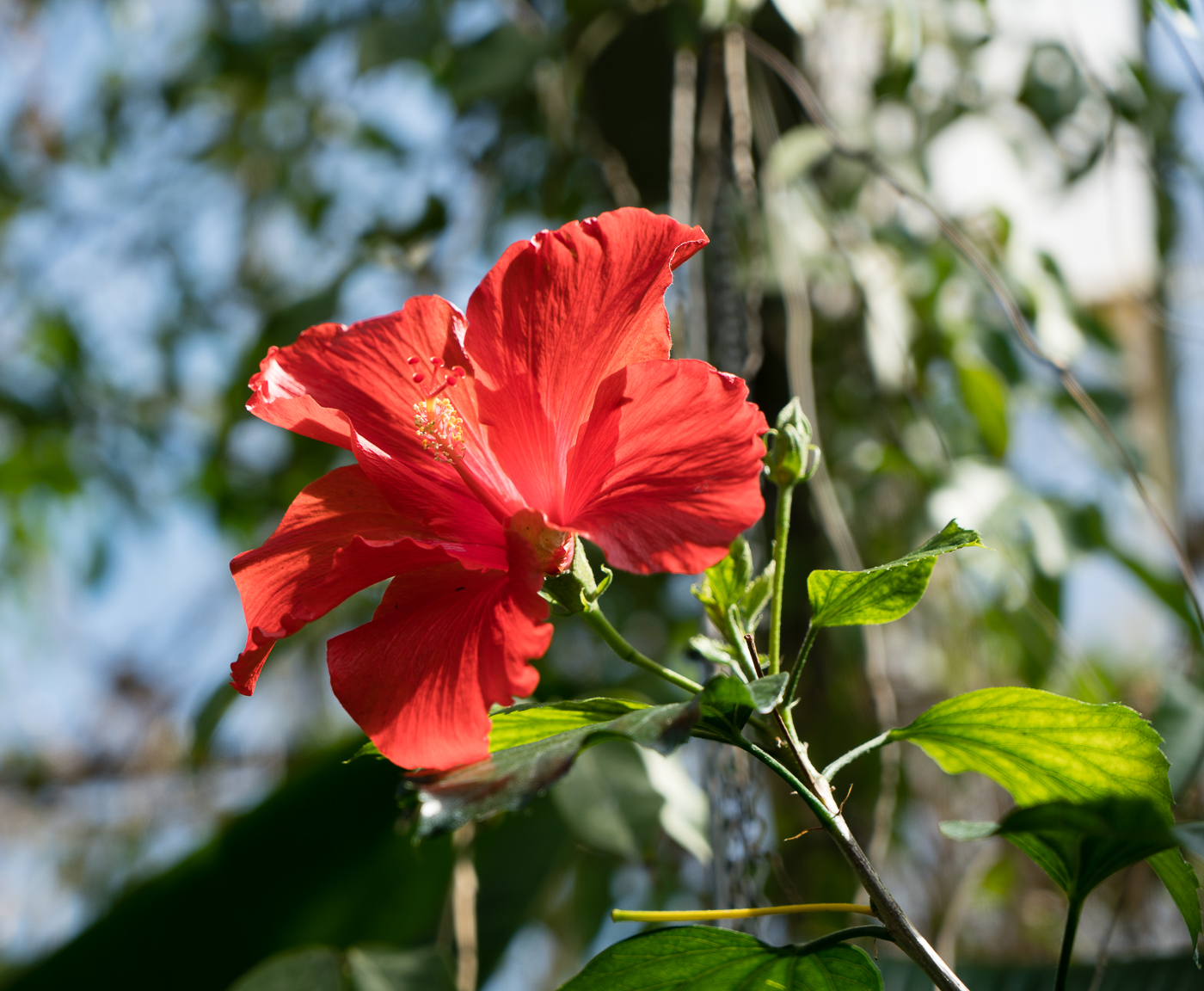 _DSC9754.jpg