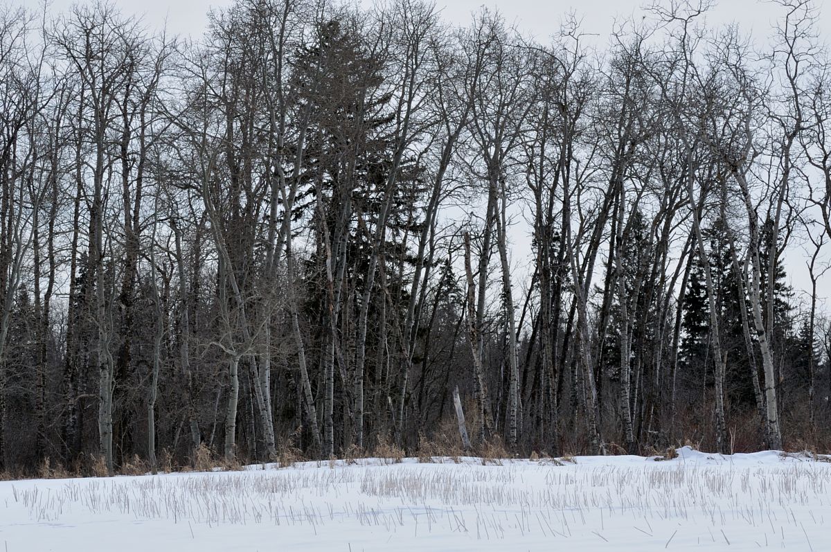 DSC_3011.jpg