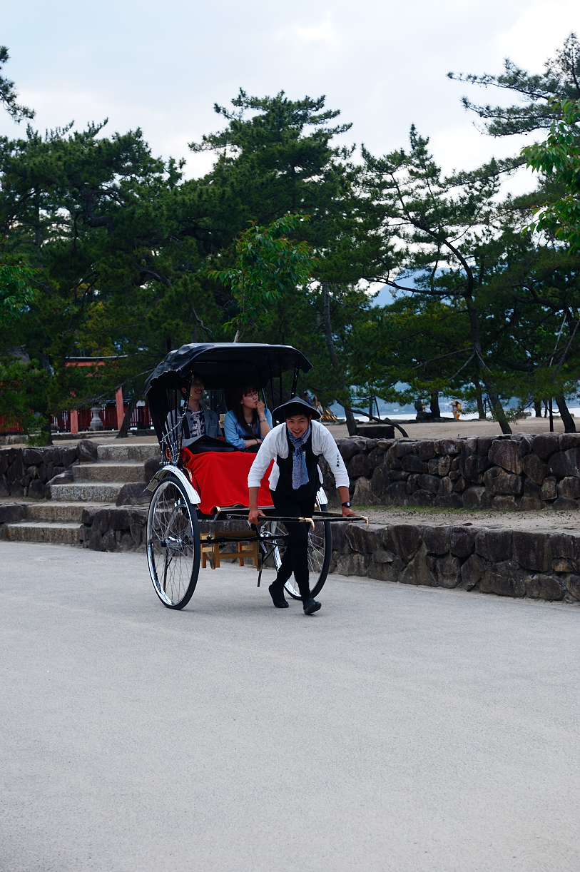 Miyajima 8