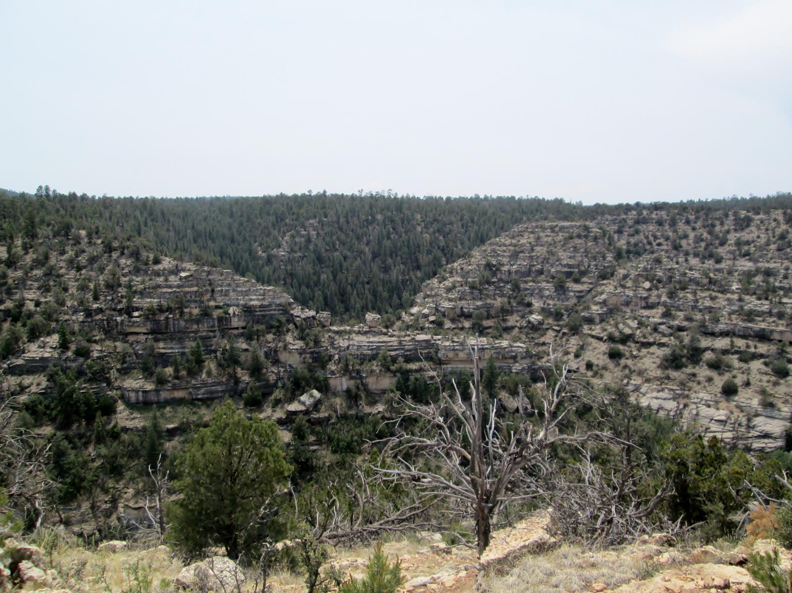 IMG_0500.JPG