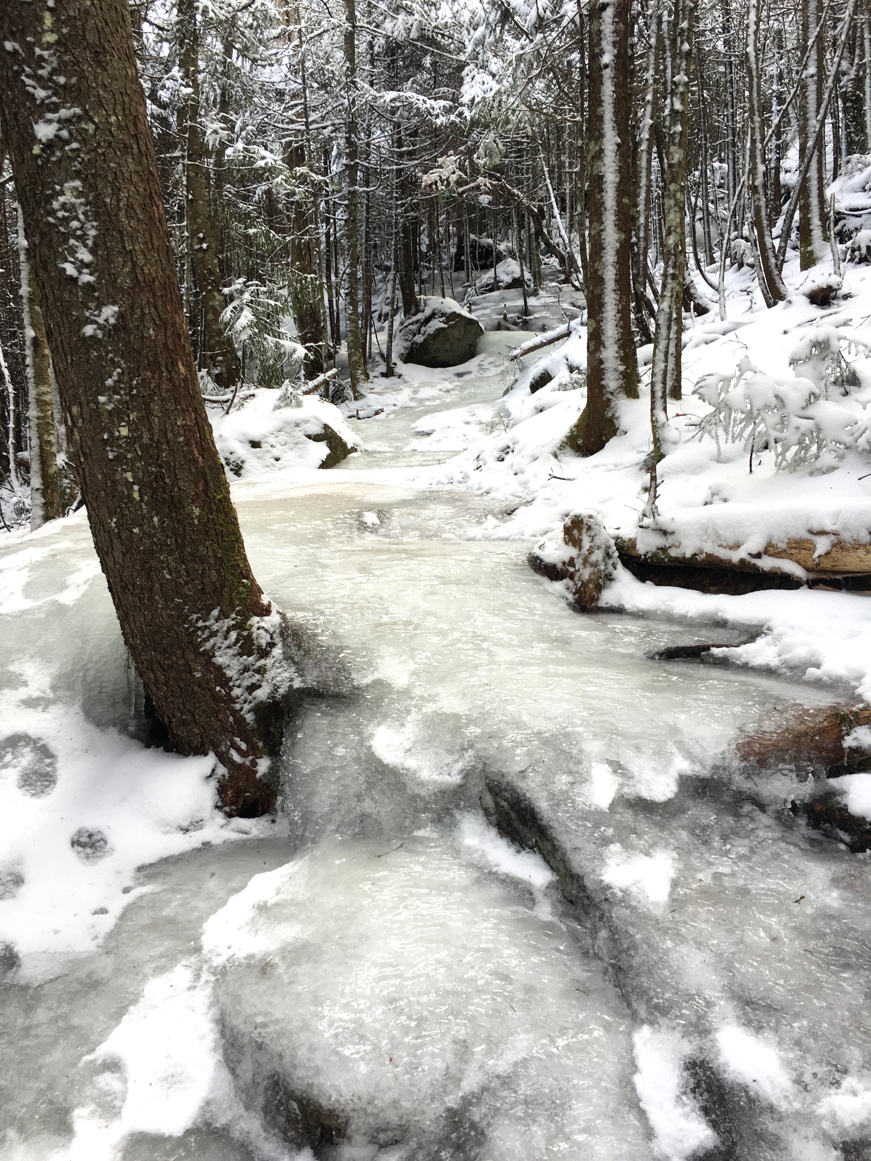 Plenty of ice